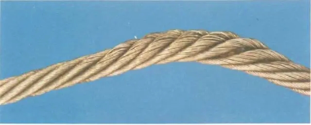 1617688818583818.jpg 5.webp.jpg